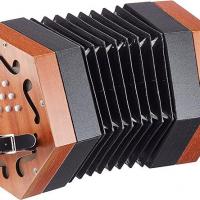 Concertina Diatonique (30clés)
