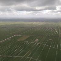 Polder des Pays-Bas